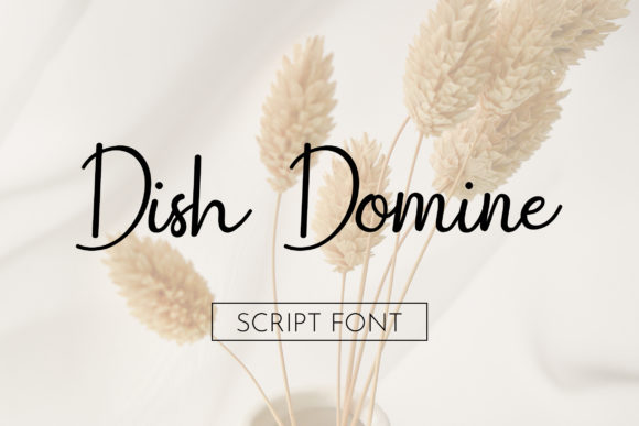 Dish Domine: A Modern Script Font for Bold Branding
