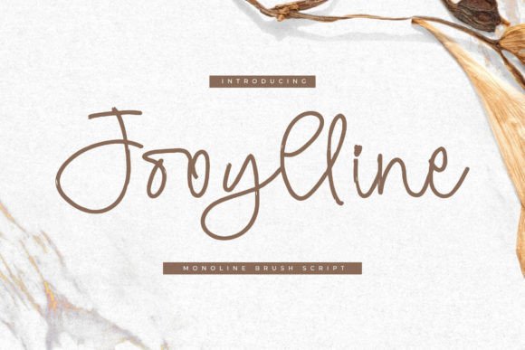 Jooylline: A Monoline Brush Script for Modern Design